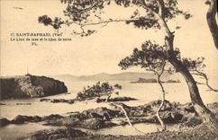 CPA Saint Raphael Var Le Lion de mer et le Lion de terre 