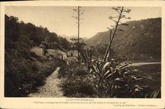 CPA Ile de Port Cros Var La Fes de Port Cros d'Henry Bordeaux 