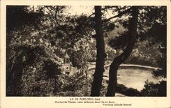 CPA Ile de Port Cros Var Cloches de Paques voies aeriennes dans l'Ile en fleurs Port Cros Claude Bal