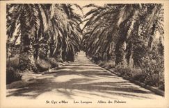 CPA St Cyr Mer Les Lecques Allees des Palmiers 