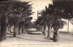 CPA Cote d'Azur Toulon Un coin du Mourilon 