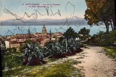 CPA Saint Tropez Vue de la Citadelle Au fond Beauvallon 