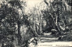 CPA La Sainte Baume Montee du Saint Pilon 