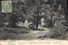 CPA La Sainte Baume Interieur de la Foret 