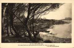 CPA Ile de Port Cros Var Une plage dessine sa ligne gracieusement arrondie sur l'oree d'un jeune boi