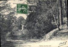 CPA Sainte Maxime J'ai mieux compris Mistral 