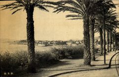 CPA Toulon Mourillon Boulevard du Littoral Les Palmiers 