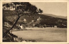 CPA Cote d'Azur Le Lavandou Var Vue Generale d'Aigubelle 