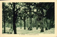 CPA Hyeres Les Palmiers au Jardin Denis 