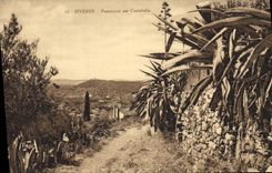 CPA Hyeres Panorama sur Costebelle 