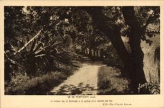 CPA Ile de port Cros Var Le Vallon de la Salitude a la grace d'un sentier de fee l'Ile Fee Claude Ba