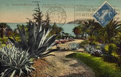 CPA Toulon Mourillon Un coin du Jardin des Plantes 