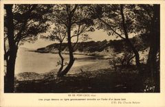 CPA Ile de Port Cros Var Une plage dessiner sa ligne gracieusement arrondie sur l'oree d'un jeune bo