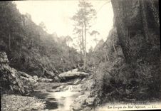 CPA l'Esterel Les Gorges du Mal Infernet 