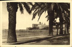 CPA Saint Raphael Les plamiers du boulevard Felix Martin 