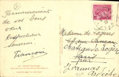 CPA Saint Raphael Les plamiers du boulevard Felix Martin 