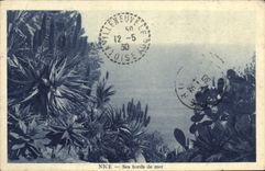 CPA Nice Ses bords de mer 