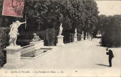 CPA Jardins de Versailles La Fontaine de Diane 