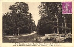 CPA Route forestiere du Gerbier dans les Hautes Cevennes 