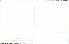 CPA Lourdes Le Chemin de Croix des Malades pendant le Rosaire 