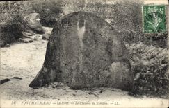 CPA Fontainebleau La Foret Le Chapeau de Napoleon 