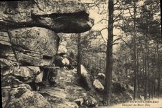 CPA Foret de Fontainebleau Rempart du Mont Ussy 