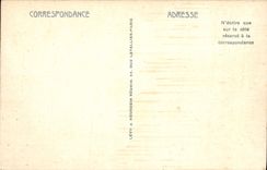 CPA Chamonix Panorama de la Chaine du Mont Blanc 