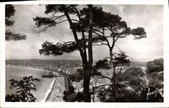 CPA Nice Alpes Mmes Vue generale prise des Jardins du Chateau 