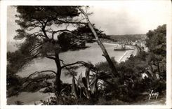 CPA Nice Alpes Mmes Perspective sur la Baie des Anges 