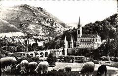 CPA Lourdes La Basilique 