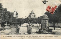CPA Provins Place du Chatel avec son vieux Puits feodal encage de fer forge et la Croix a base gothi
