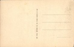 CPA Lourdes la Basilique 