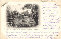 CPA Lyon le Chalet des Iles Parc de la Tete d'Or 