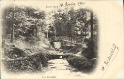 CPA Saint Die Aux Molieres 