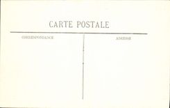 CPA Pau le Chateau Entree Principale 