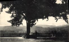 CPA Pau Chaine des Pyrenees 