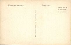 CPA Pau La Chaine des Pyrenees 