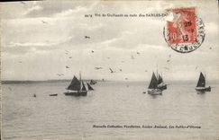 CPA Vol de Goelands en rade des Sables d'olonne 