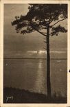 CPA Les Charmes de la Cote d'Argent Mer et foret 