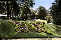CPA Rouen Seine Maritime Le Papillon du Jardin des Plantes 