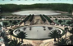 CPA Versailles et ses Merveilles les Jardins du Chateau le bassin de l'orangerie et la piece d'eau d