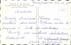 CPA Versailles et ses Merveilles les Jardins du Chateau le bassin de l'orangerie et la piece d'eau d