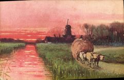 CPA Moulin  a vent Bœufs Attelage