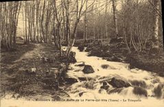 CPA Monastere de Sainte Marie de la Pierre qui Vire Yonne le Trinquelin 