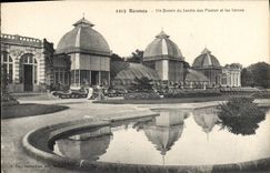 CPA Rennes Un Bassin du Jardin des Plantes et les Serres 