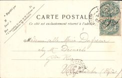 CPA Lourdes Vierge de l'Esplanade 