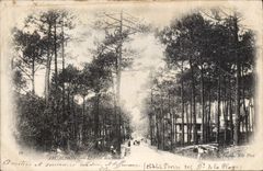 CPA Arcachon l'Allee 