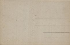 CPA Lourdes La Vierge de la Grotte 