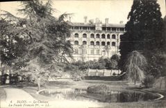 CPA Blois Le Chateau La Facade Francois I 