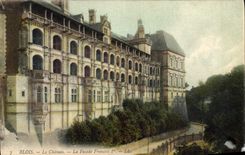CPA Blois Le Chateau La Facade Francois I 